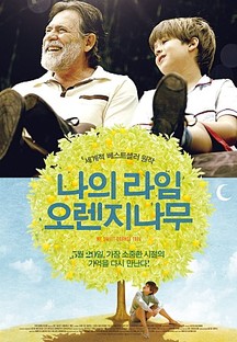 ���� ���� ����������