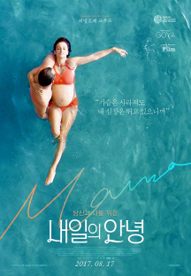 ������ �ȳ�