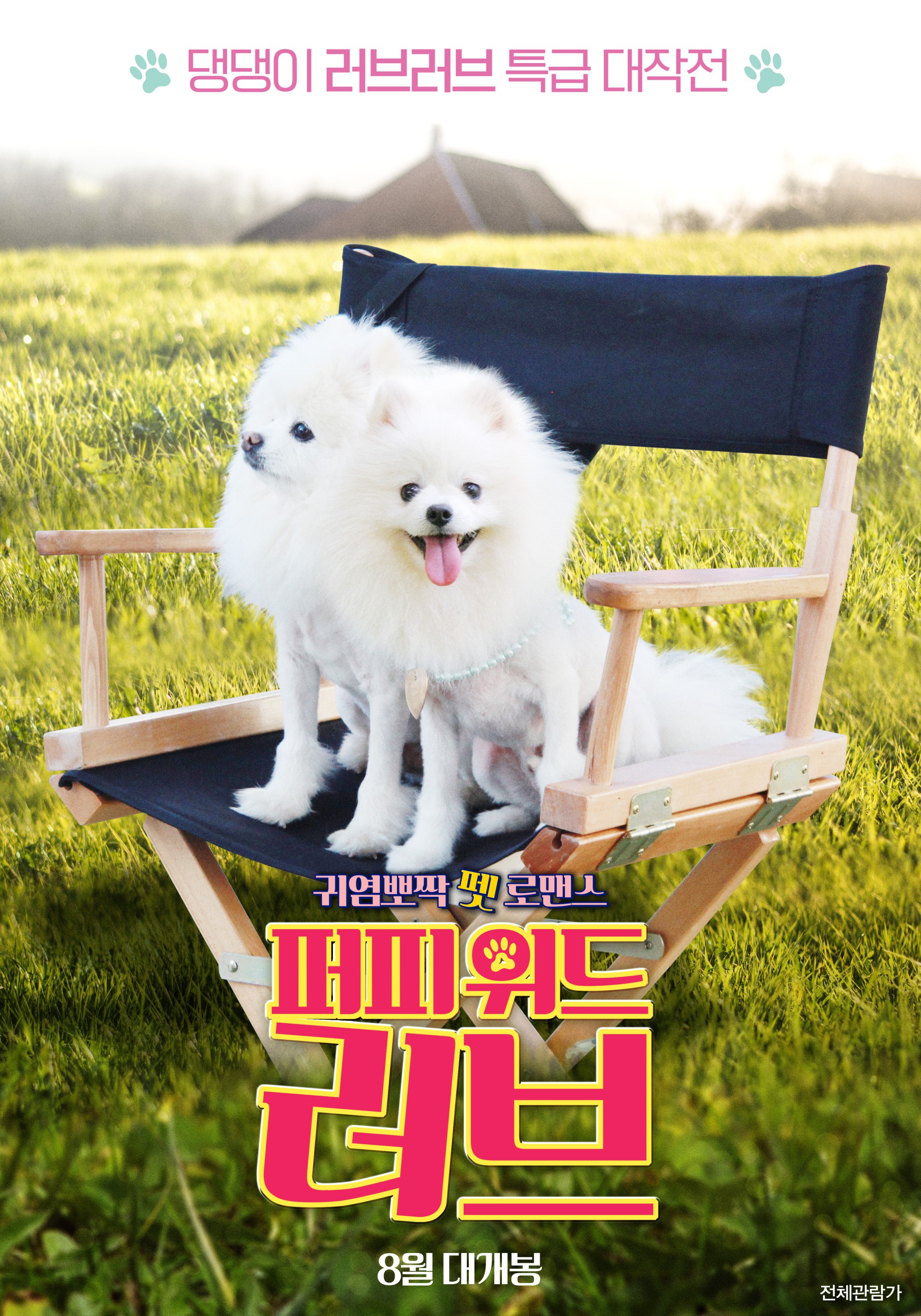 ���� ���� ����