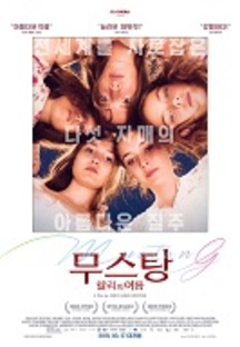 ������: ������ ����